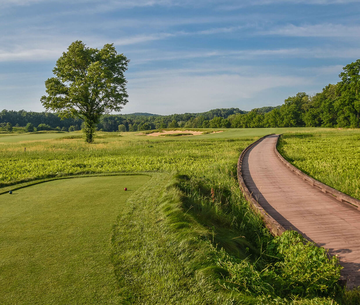 golf course image with boardwalk