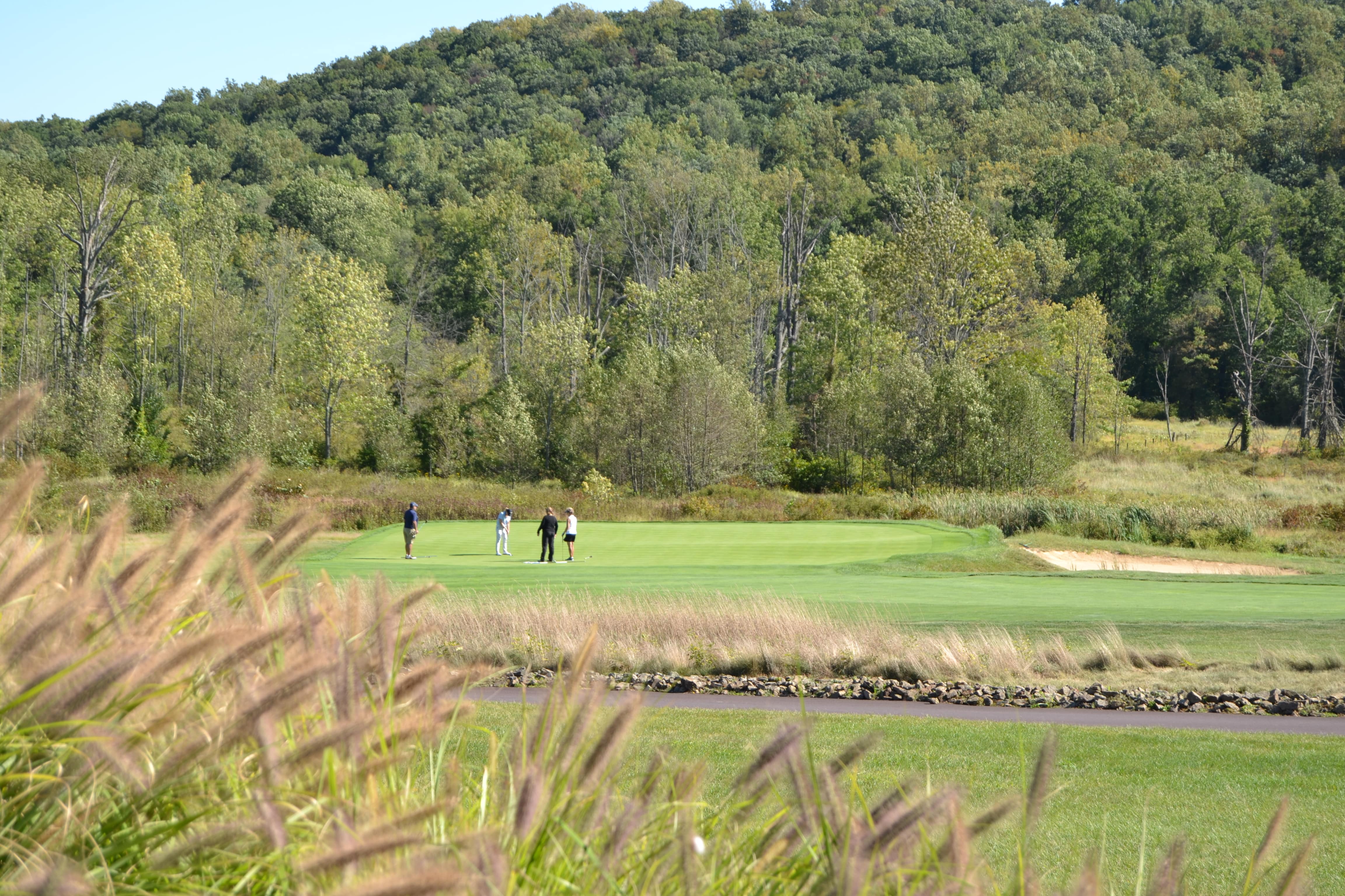 golfers on the green