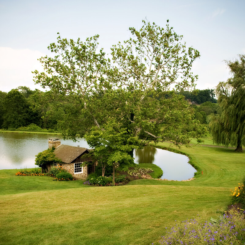 small building by pond