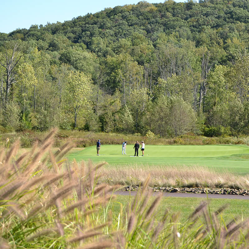 golfers on the course